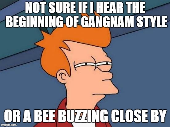 Futurama Fry | NOT SURE IF I HEAR THE BEGINNING OF GANGNAM STYLE; OR A BEE BUZZING CLOSE BY | image tagged in memes,futurama fry | made w/ Imgflip meme maker