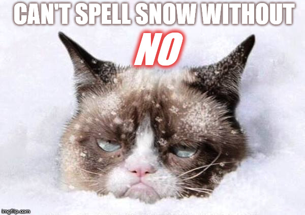 Grumpy cat snow | CAN'T SPELL SNOW WITHOUT NO | image tagged in grumpy cat snow | made w/ Imgflip meme maker