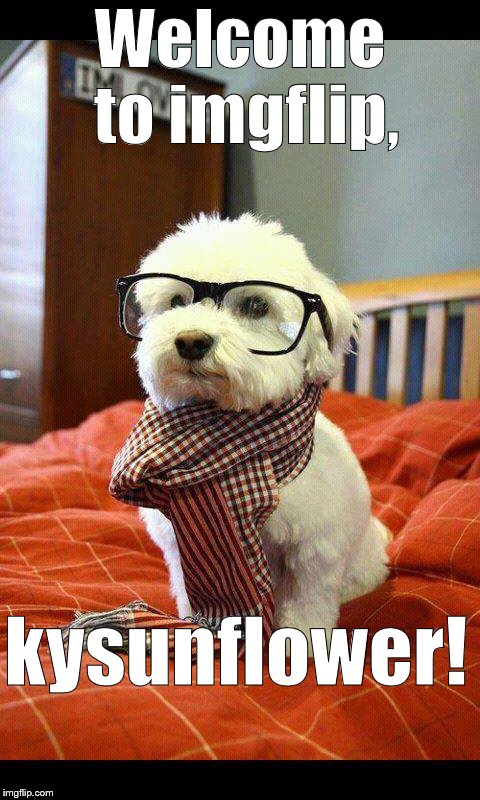 Intelligent Dog Meme | Welcome to imgflip, kysunflower! | image tagged in memes,intelligent dog | made w/ Imgflip meme maker