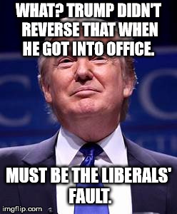 Donald Trump smug | WHAT? TRUMP DIDN'T REVERSE THAT WHEN HE GOT INTO OFFICE. MUST BE THE LIBERALS' FAULT. | image tagged in donald trump smug | made w/ Imgflip meme maker