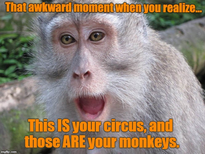 Whiskey Tango Foxtrot!!! | That awkward moment when you realize... This IS your circus, and those ARE your monkeys. | image tagged in surprised monkith,wtf maynards,oh hell no,dam dam dam,meme me up to the vodka sky scottie | made w/ Imgflip meme maker
