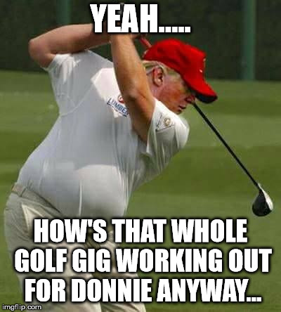 trump golf gut | YEAH..... HOW'S THAT WHOLE GOLF GIG WORKING OUT FOR DONNIE ANYWAY... | image tagged in trump golf gut | made w/ Imgflip meme maker