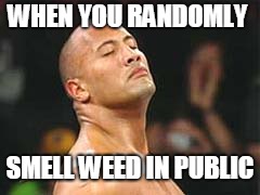 The Rock Smelling | WHEN YOU RANDOMLY; SMELL WEED IN PUBLIC | image tagged in the rock smelling | made w/ Imgflip meme maker
