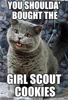 I can has cheezburger cat | YOU SHOULDA' BOUGHT THE; GIRL SCOUT COOKIES | image tagged in i can has cheezburger cat | made w/ Imgflip meme maker