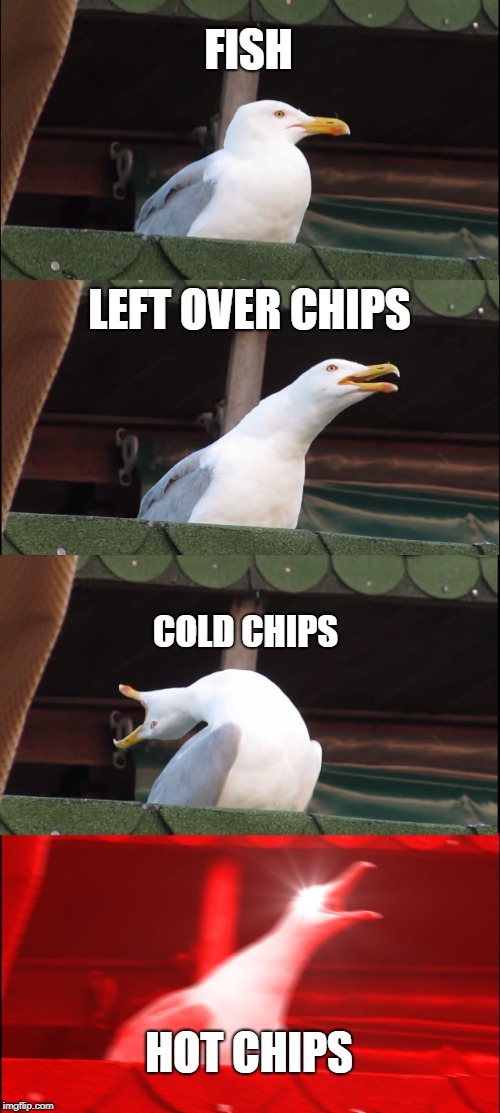 Inhaling Seagull Meme | FISH; LEFT OVER CHIPS; COLD CHIPS; HOT CHIPS | image tagged in australia,seagull | made w/ Imgflip meme maker