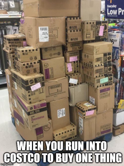 Walmart Pallet Raiding Hot Wheels Diecast Toys Scalper  | WHEN YOU RUN INTO COSTCO TO BUY ONE THING | image tagged in walmart pallet raiding hot wheels diecast toys scalper | made w/ Imgflip meme maker