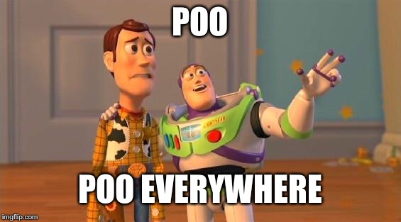 TOYSTORY EVERYWHERE |  POO; POO EVERYWHERE | image tagged in toystory everywhere | made w/ Imgflip meme maker