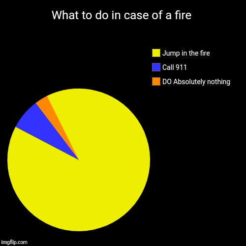 What to do in case of a fire | DO Absolutely nothing, Call 911, Jump in the fire | image tagged in funny,pie charts | made w/ Imgflip chart maker