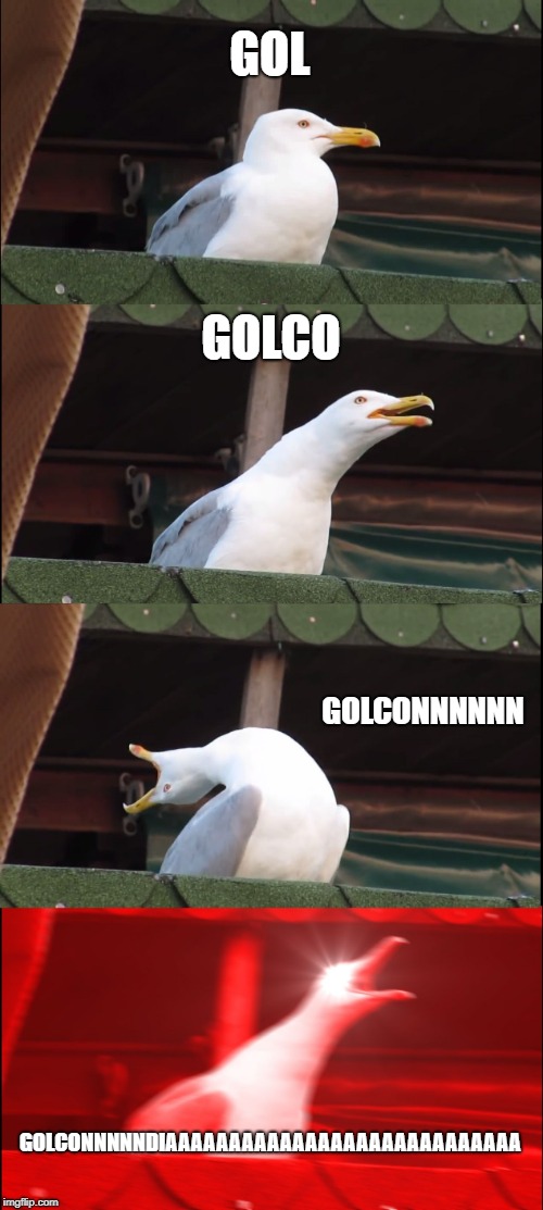 Inhaling Seagull | GOL; GOLCO; GOLCONNNNNN; GOLCONNNNNDIAAAAAAAAAAAAAAAAAAAAAAAAAAAA | image tagged in memes,inhaling seagull | made w/ Imgflip meme maker