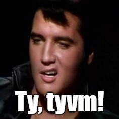 Elvis, thank you | Ty, tyvm! | image tagged in elvis thank you | made w/ Imgflip meme maker