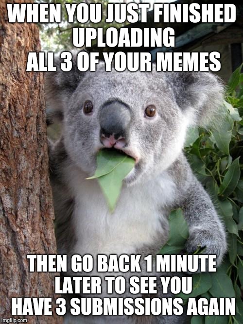 Surprised Koala | WHEN YOU JUST FINISHED UPLOADING ALL 3 OF YOUR MEMES; THEN GO BACK 1 MINUTE LATER TO SEE YOU HAVE 3 SUBMISSIONS AGAIN | image tagged in memes,surprised koala | made w/ Imgflip meme maker