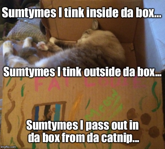 Phat LOLCat | Sumtymes I tink inside da box... Sumtymes I tink outside da box... Sumtymes I pass out in da box from da catnip... | image tagged in cats,lol,cat,catnip cat | made w/ Imgflip meme maker