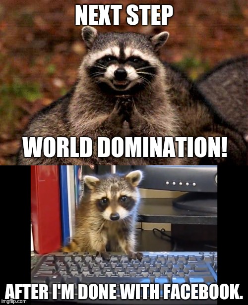 Procrastination. | NEXT STEP; WORLD DOMINATION! AFTER I'M DONE WITH FACEBOOK. | image tagged in evil raccoon,facebook,later,world domination,lazy | made w/ Imgflip meme maker