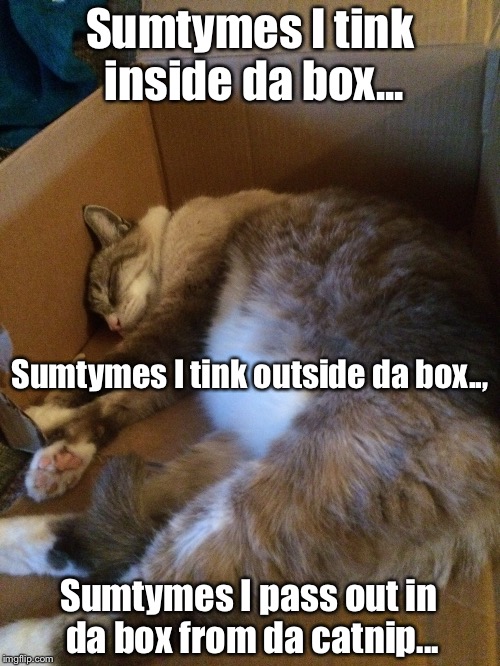 Phat LOLCat Louie | Sumtymes I tink inside da box... Sumtymes I tink outside da box.., Sumtymes I pass out in da box from da catnip... | image tagged in fat louie boxed,cat,catnip cat | made w/ Imgflip meme maker