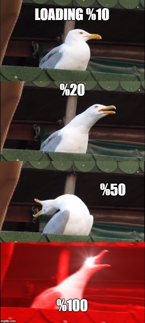 Inhaling Seagull Meme | LOADING %10; %20; %50; %100 | image tagged in memes,inhaling seagull | made w/ Imgflip meme maker