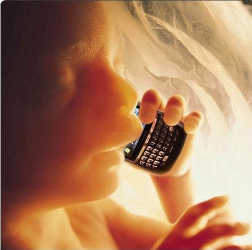 High Quality Baby in womb on cell phone - fetus blackberry Blank Meme Template