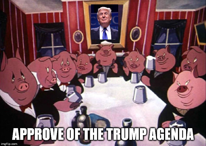 Animal farm | APPROVE OF THE TRUMP AGENDA | image tagged in animal farm | made w/ Imgflip meme maker