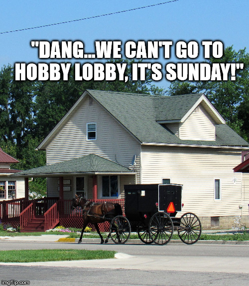 Grass guzzler | "DANG...WE CAN'T GO TO HOBBY LOBBY, IT'S SUNDAY!" | image tagged in grass guzzler | made w/ Imgflip meme maker