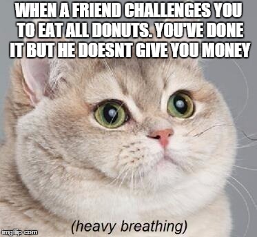 Heavy Breathing Cat Meme | WHEN A FRIEND CHALLENGES YOU TO EAT ALL DONUTS. YOU'VE DONE IT BUT HE DOESNT GIVE YOU MONEY | image tagged in memes,heavy breathing cat | made w/ Imgflip meme maker
