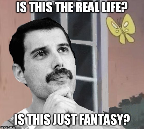 IS THIS THE REAL LIFE? IS THIS JUST FANTASY? | made w/ Imgflip meme maker