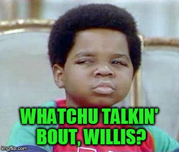 Whatchu Talkin' Bout, Willis? | WHATCHU TALKIN' BOUT, WILLIS? | image tagged in whatchu talkin' bout willis? | made w/ Imgflip meme maker