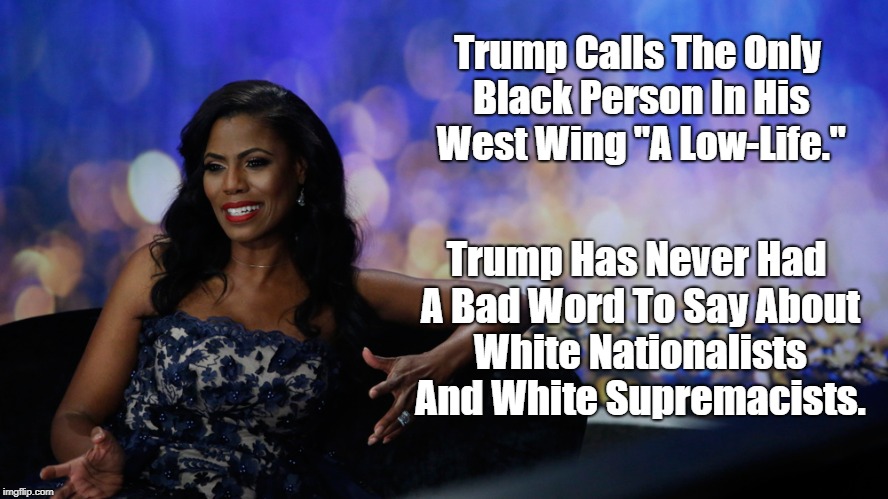 "Trump Employs Not One Black Person In The West Wing" | Trump Calls The Only Black Person In His West Wing "A Low-Life." Trump Has Never Had A Bad Word To Say About White Nationalists And White Su | image tagged in omarosa,deplorable donald,despicable donald,devious donald,dishonorable donald,detestable donald | made w/ Imgflip meme maker