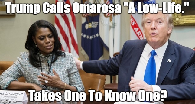 Trump Calls Omarosa "A Low-Life." Takes One To Know One? | made w/ Imgflip meme maker