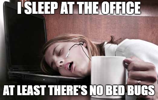 Asleep at the Office | I SLEEP AT THE OFFICE; AT LEAST THERE'S NO BED BUGS | image tagged in sleepy office monday,asleep,bed bugs,office,tired | made w/ Imgflip meme maker
