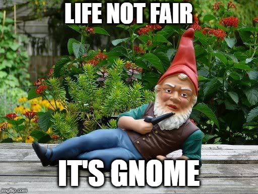 Thief gnome | LIFE NOT FAIR IT'S GNOME | image tagged in thief gnome | made w/ Imgflip meme maker