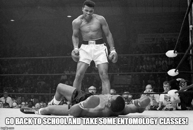 GO BACK TO SCHOOL AND TAKE SOME ENTOMOLOGY CLASSES! | made w/ Imgflip meme maker