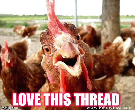 Chicken | LOVE THIS THREAD | image tagged in chicken | made w/ Imgflip meme maker