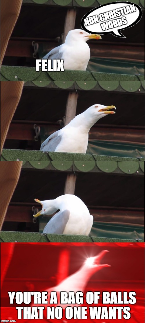 Inhaling Seagull | NON CHRISTIAN 
WORDS; FELIX; YOU'RE A BAG OF BALLS THAT NO ONE WANTS | image tagged in memes,inhaling seagull | made w/ Imgflip meme maker