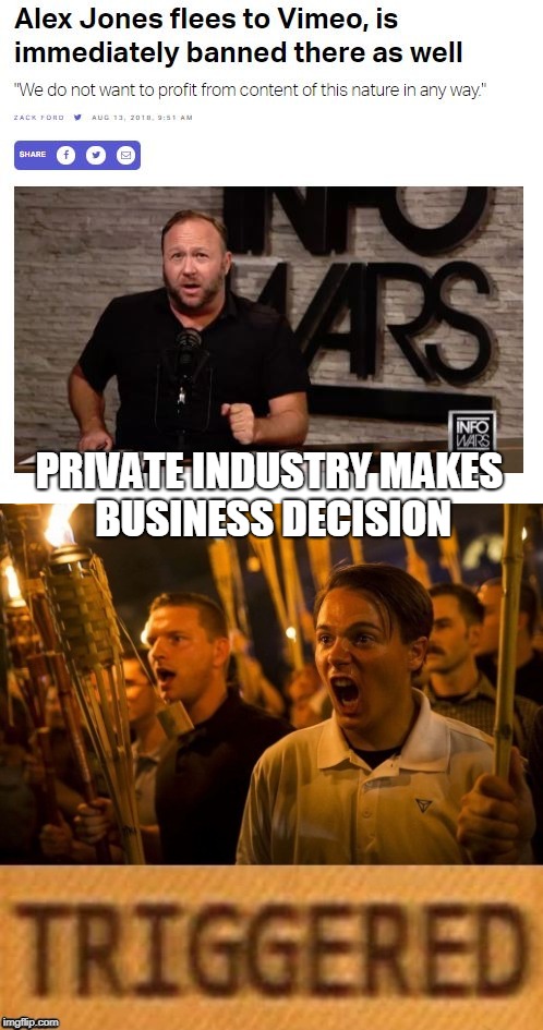 It's not a free speech issue snowflakes.  Read the Constitution. There is more to it than the 2nd Amendment  | PRIVATE INDUSTRY MAKES BUSINESS DECISION | image tagged in alex jones,triggered | made w/ Imgflip meme maker