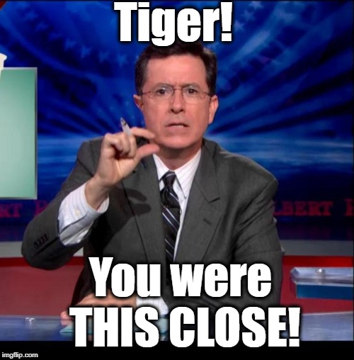 Great tournament final round, Tiger! | Tiger! You were THIS CLOSE! | image tagged in so close,2nd place,comeback kid | made w/ Imgflip meme maker