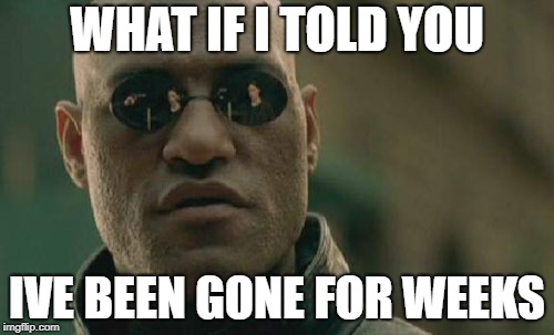 Matrix Morpheus Meme | WHAT IF I TOLD YOU; IVE BEEN GONE FOR WEEKS | image tagged in memes,matrix morpheus | made w/ Imgflip meme maker