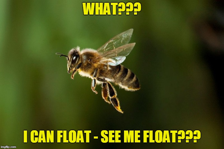 WHAT??? I CAN FLOAT - SEE ME FLOAT??? | made w/ Imgflip meme maker