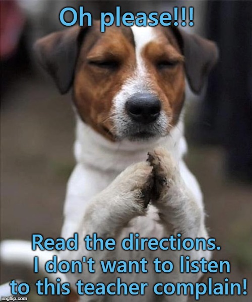 pet prayer |  Oh please!!! Read the directions.  I don't want to listen to this teacher complain! | image tagged in pet prayer | made w/ Imgflip meme maker