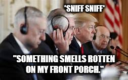 Trump not listening | *SNIFF SNIFF* "SOMETHING SMELLS ROTTEN ON MY FRONT PORCH." | image tagged in trump not listening | made w/ Imgflip meme maker