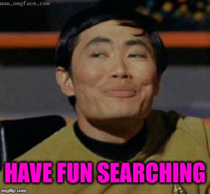 sulu | HAVE FUN SEARCHING | image tagged in sulu | made w/ Imgflip meme maker
