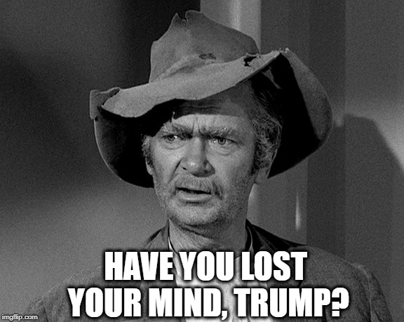 Jed Clampett | HAVE YOU LOST YOUR MIND, TRUMP? | image tagged in jed clampett | made w/ Imgflip meme maker