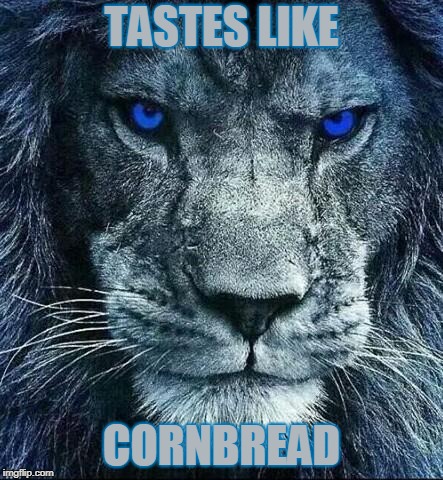 detroit lions | TASTES LIKE; CORNBREAD | image tagged in detroit lions | made w/ Imgflip meme maker