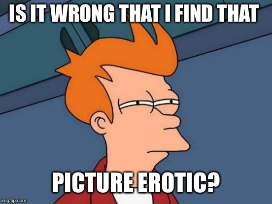 Futurama Fry Meme | IS IT WRONG THAT I FIND THAT PICTURE EROTIC? | image tagged in memes,futurama fry | made w/ Imgflip meme maker