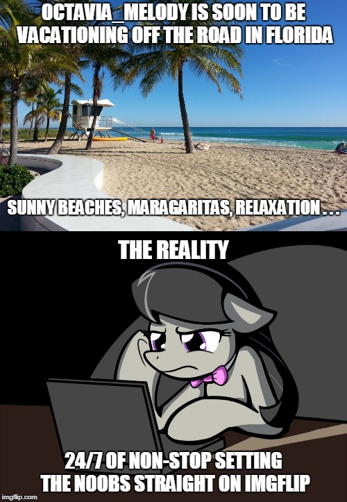 you know it  XD | OCTAVIA_MELODY IS SOON TO BE VACATIONING OFF THE ROAD IN FLORIDA; SUNNY BEACHES, MARAGARITAS, RELAXATION . . . THE REALITY; 24/7 OF NON-STOP SETTING THE NOOBS STRAIGHT ON IMGFLIP | image tagged in memes,octavia_melody,vacation,imgflip | made w/ Imgflip meme maker