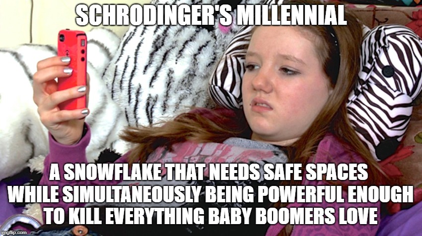 lazy millennials | SCHRODINGER'S MILLENNIAL; A SNOWFLAKE THAT NEEDS SAFE SPACES WHILE SIMULTANEOUSLY BEING POWERFUL ENOUGH TO KILL EVERYTHING BABY BOOMERS LOVE | image tagged in lazy millennials | made w/ Imgflip meme maker