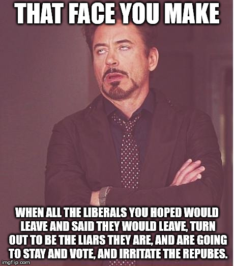 Face You Make Robert Downey Jr Meme | THAT FACE YOU MAKE WHEN ALL THE LIBERALS YOU HOPED WOULD LEAVE AND SAID THEY WOULD LEAVE, TURN OUT TO BE THE LIARS THEY ARE, AND ARE GOING T | image tagged in memes,face you make robert downey jr | made w/ Imgflip meme maker