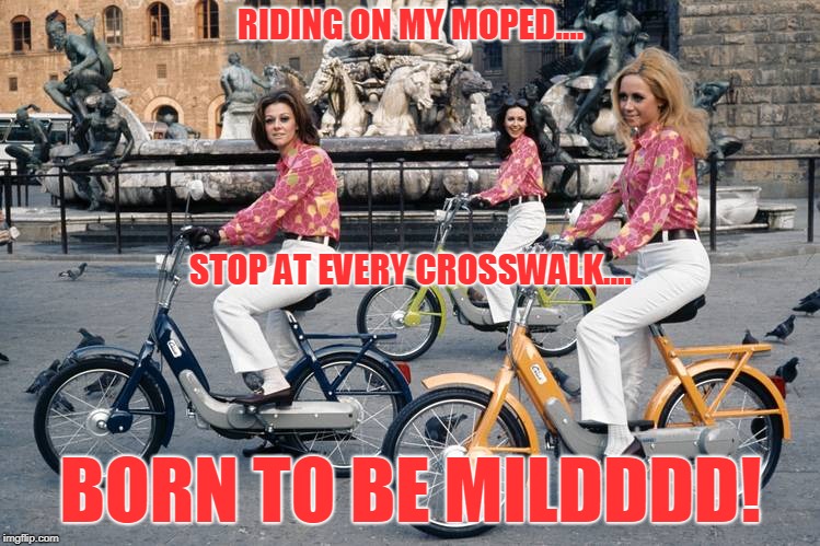 RIDING ON MY MOPED.... STOP AT EVERY CROSSWALK.... BORN TO BE MILDDDD! | image tagged in motorcycle | made w/ Imgflip meme maker