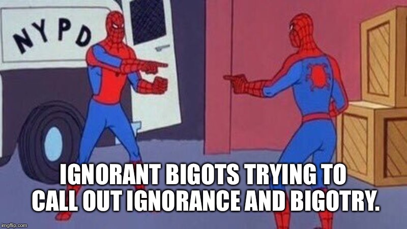 spiderman pointing at spiderman | IGNORANT BIGOTS TRYING TO CALL OUT IGNORANCE AND BIGOTRY. | image tagged in spiderman pointing at spiderman | made w/ Imgflip meme maker