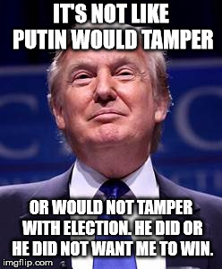 Donald Trump smug | IT'S NOT LIKE PUTIN WOULD TAMPER OR WOULD NOT TAMPER WITH ELECTION. HE DID OR HE DID NOT WANT ME TO WIN. | image tagged in donald trump smug | made w/ Imgflip meme maker