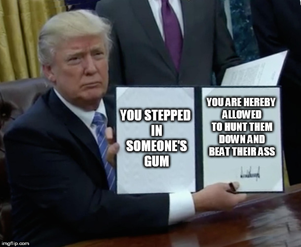 You can guess what happened to make me think of this one | YOU STEPPED IN SOMEONE'S GUM; YOU ARE HEREBY ALLOWED TO HUNT THEM DOWN AND BEAT THEIR ASS | image tagged in trump bill signing,memes,gum | made w/ Imgflip meme maker