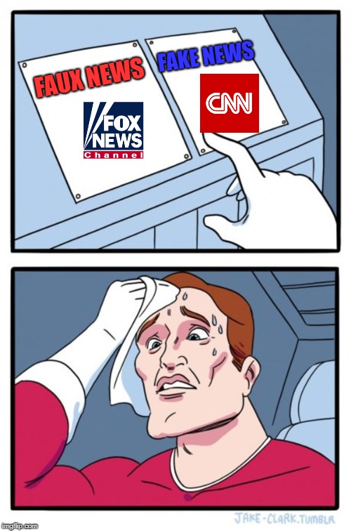 When you learn that your country is identical to Venezuela | FAKE NEWS; FAUX NEWS | image tagged in memes,two buttons,cnn,fox news,denmark | made w/ Imgflip meme maker